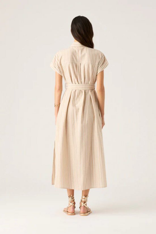 Francisca Shirt Dress | Sable Stripes