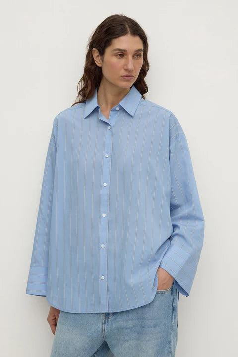 Delaney Italian Stripe Shirt | Blue