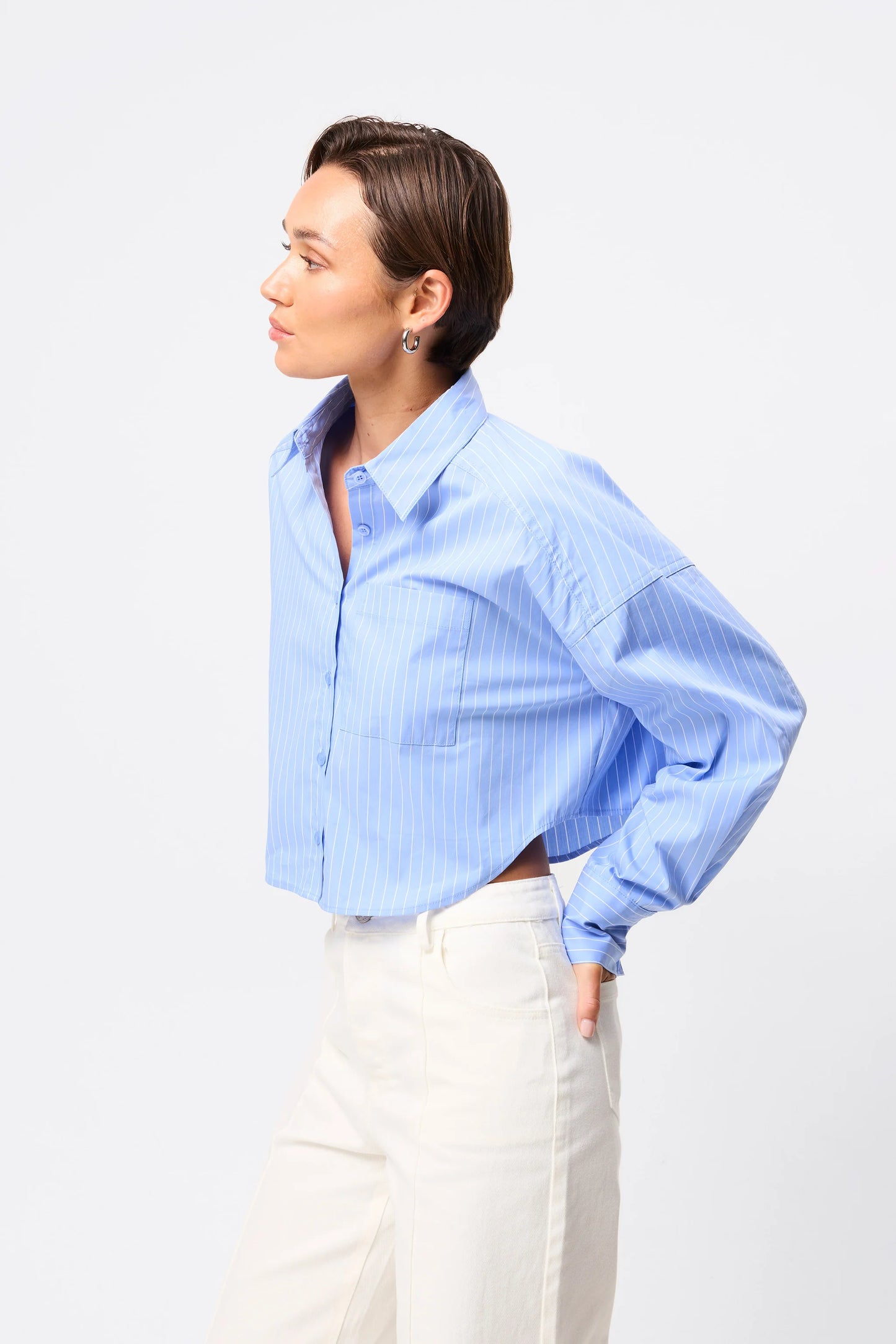 Repeat After Me Cropped Shirt | Blue Stripe