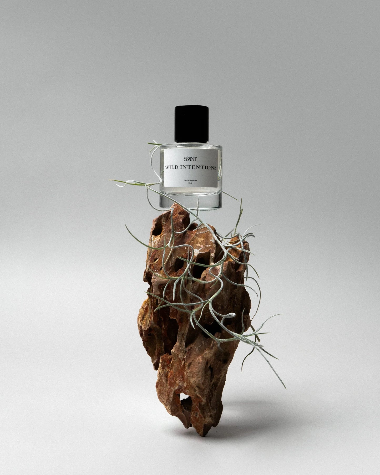 Wild Intentions | 10ml