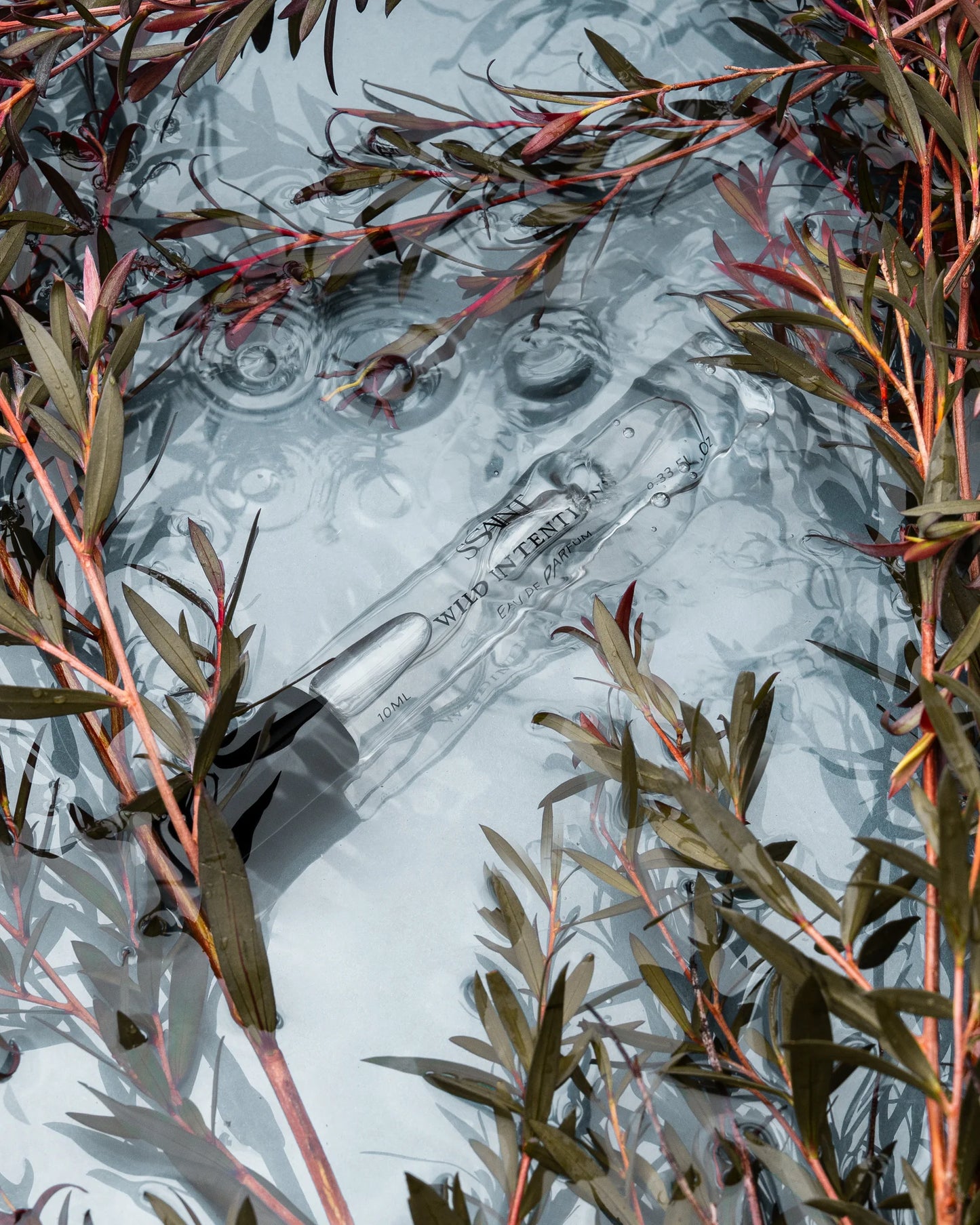 Wild Intentions | 10ml