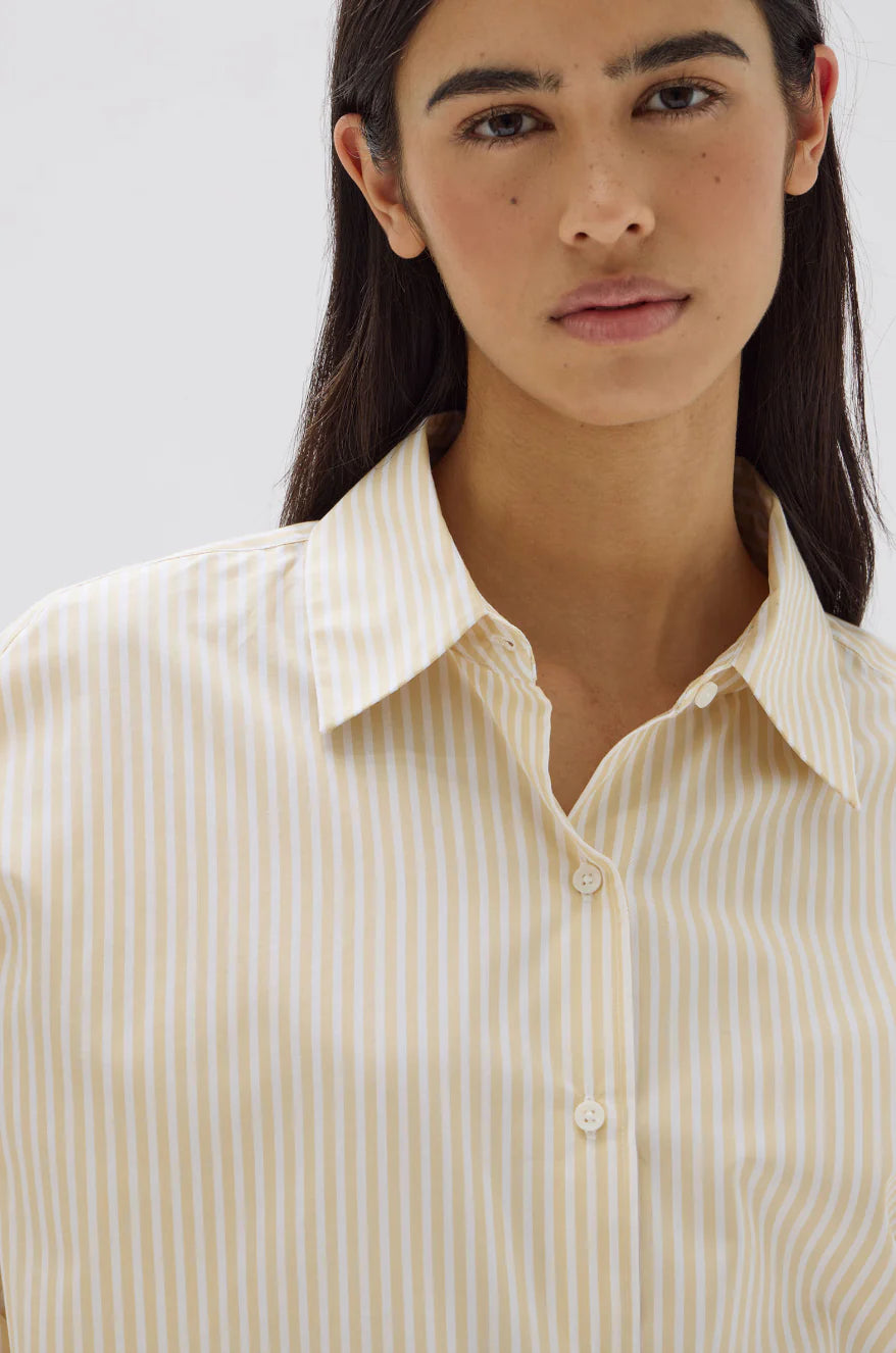 Signature Poplin Shirt | Chamomile / White