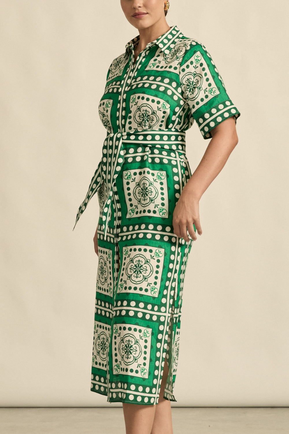 Roam Dress | Parrot Scarf